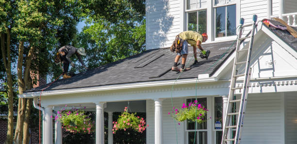 Best Roof Gutter Cleaning  in Sparta, MO